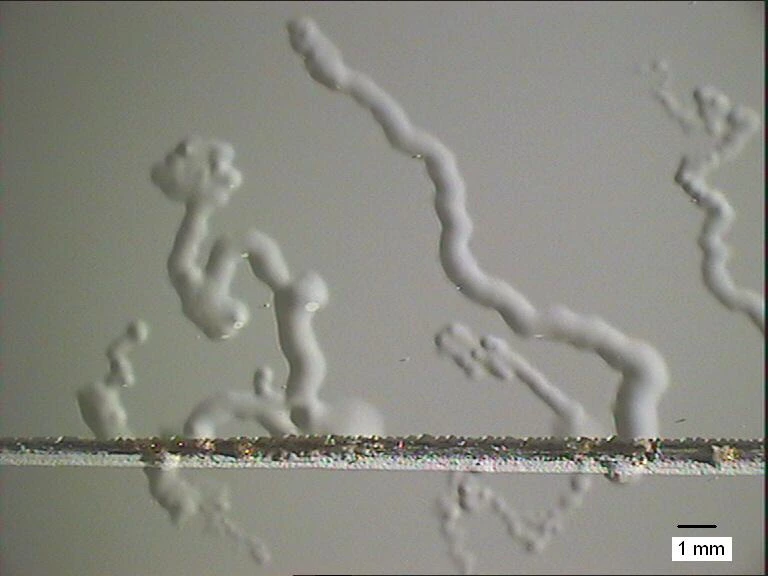 Al_Filiforme Filiform corrosion on coated aluminium - aerospace corrosion test