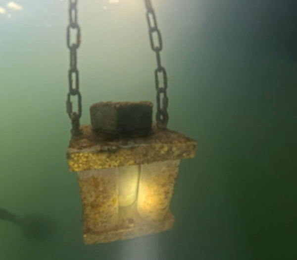 Essais de corrosion et mesure de protection cathodique en immersion eau de mer naturelle — Institut de la Corrosion